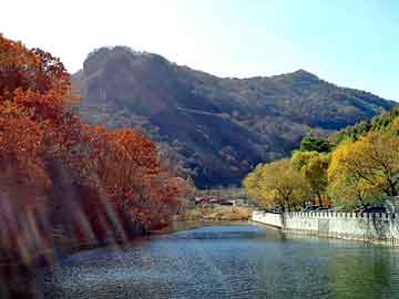 新澳天天免费资料大全，伊川seo建站